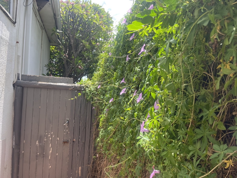 3 Bedroom Property for Sale in Vredehoek Western Cape